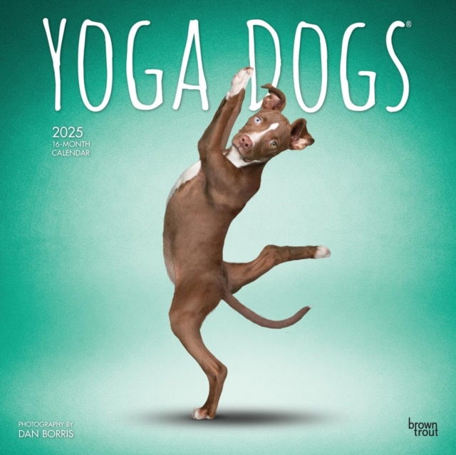 Yoga Dogs 2025 16 Month Calendar