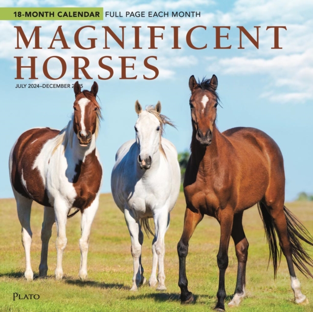 Magnificent Horses Jul24Dec25 Square Wra