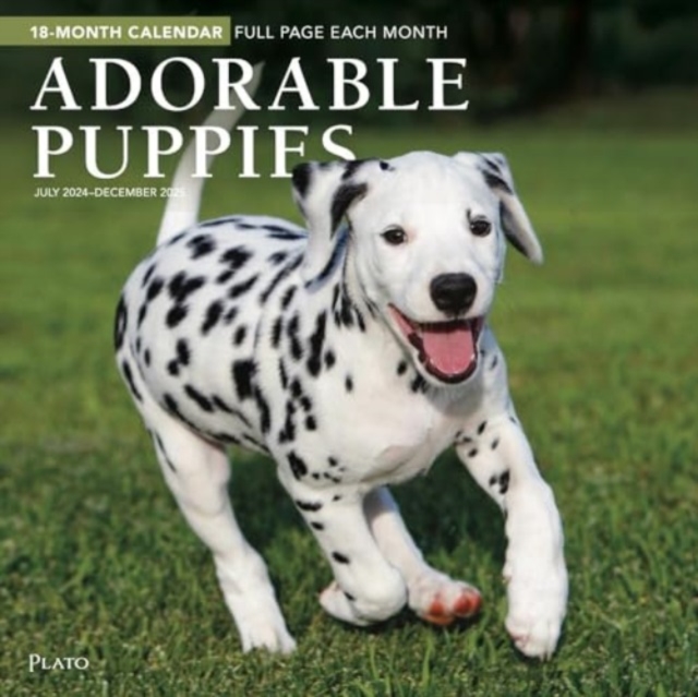 Puppies Adorable Jul24Dec25 Square Wrap