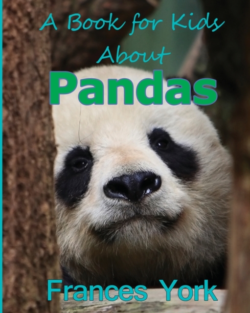 Book For Kids About Pandas