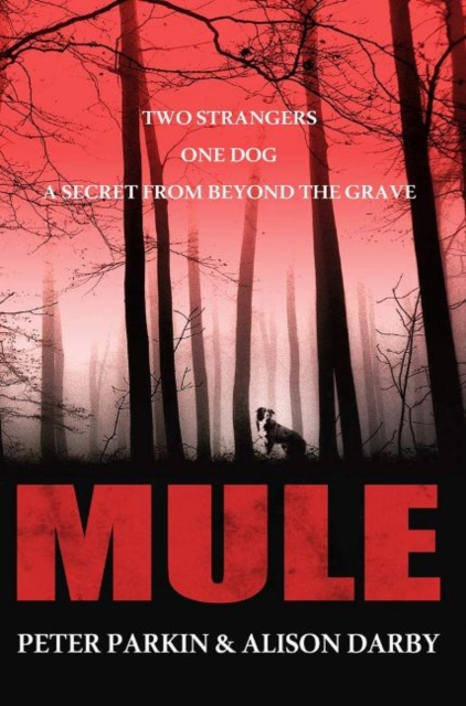 Mule