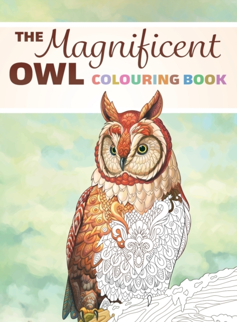 Magnificent Owl Colouring Book