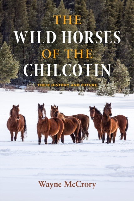 Wild Horses of the Chilcotin