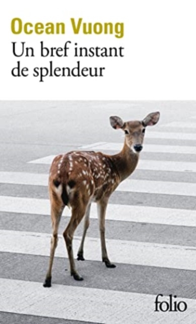 Un bref moment de splendeur