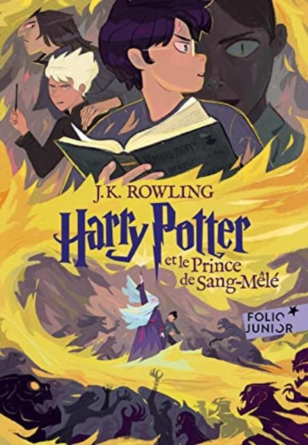 Harry Potter et le Prince de Sang-Mele Book 6