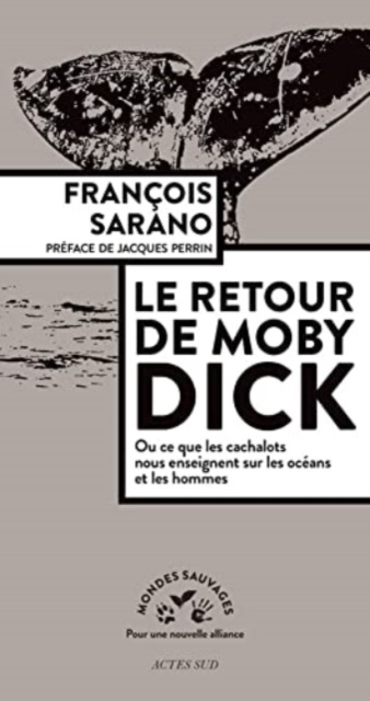 Le retour de Moby