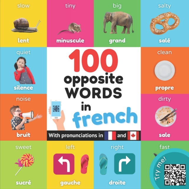 100 opposite words in french