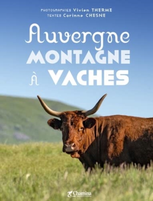 Auvergne montagne a vaches