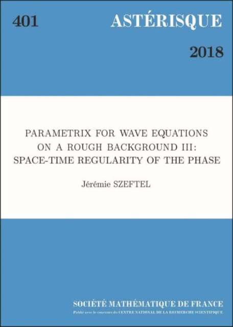 Parametrix for Wave Equations on a Rough Background III