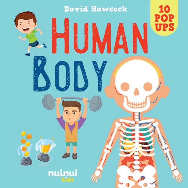 Human Body