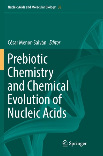 Prebiotic Chemistry and Chemical Evolution of Nucleic Acids