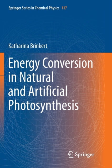 Energy Conversion in Natural and Artificial Photosynthesis