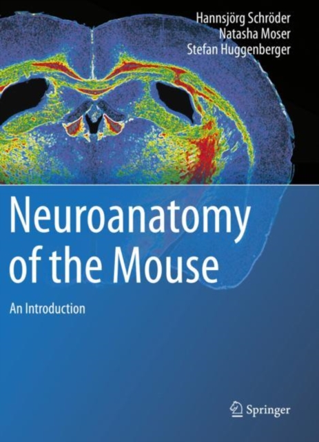 Neuroanatomy of the Mouse