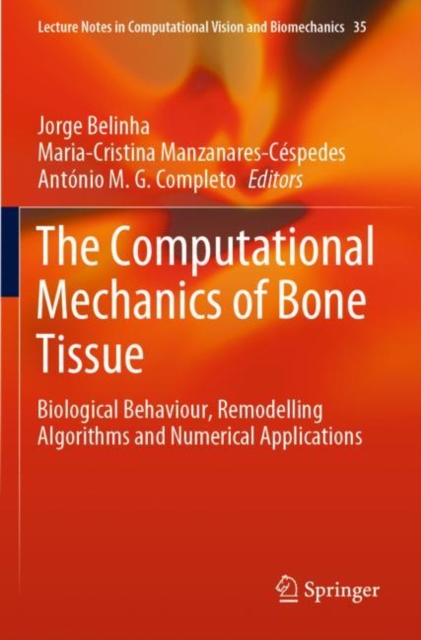 Computational Mechanics of Bone Tissue