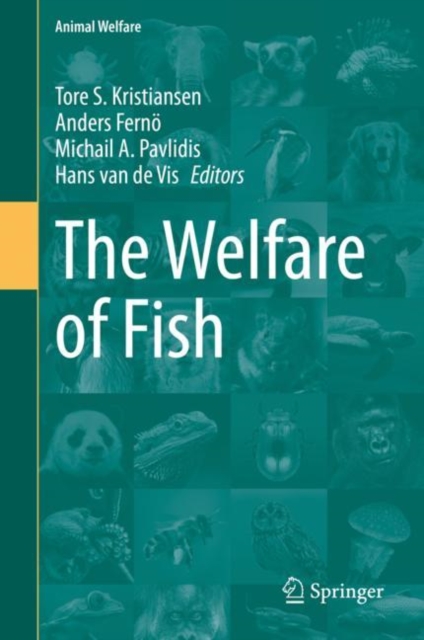 Welfare of Fish