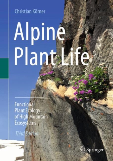 Alpine Plant Life