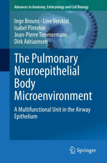 Pulmonary Neuroepithelial Body Microenvironment