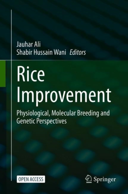 Rice Improvement