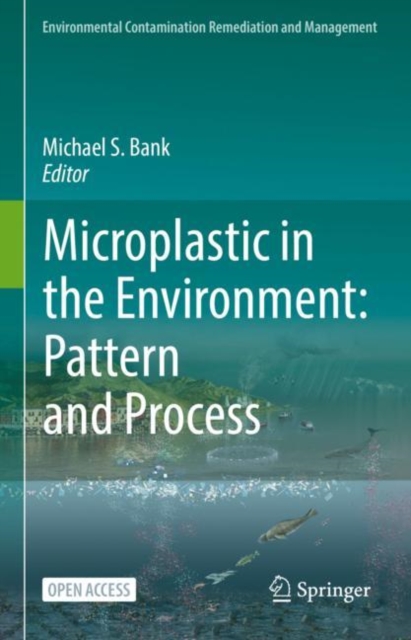 Microplastic in the Environment: Pattern and Process