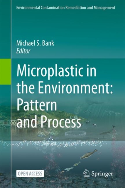 Microplastic in the Environment: Pattern and Process