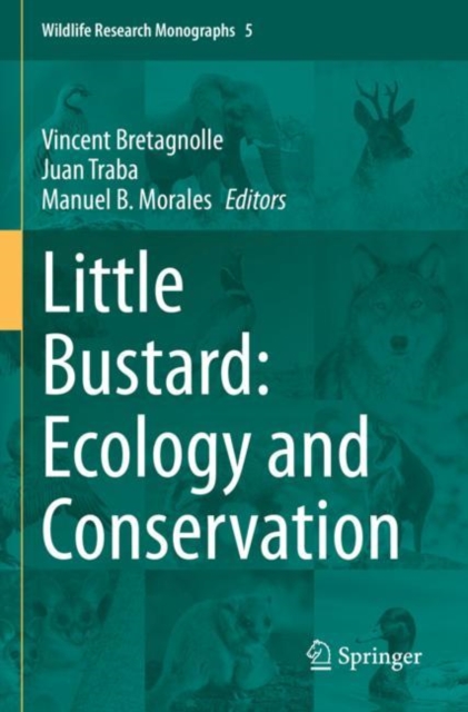 Little Bustard: Ecology and Conservation