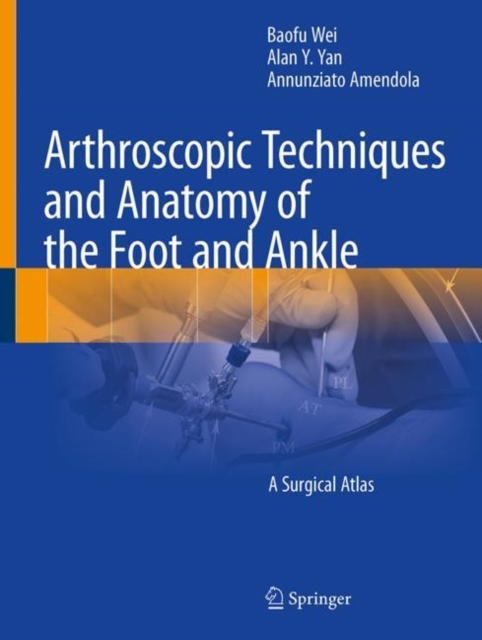 Arthroscopic Techniques and Anatomy of the Foot and Ankle