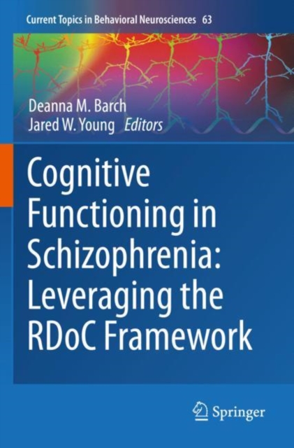 Cognitive Functioning in Schizophrenia:  Leveraging the RDoC Framework