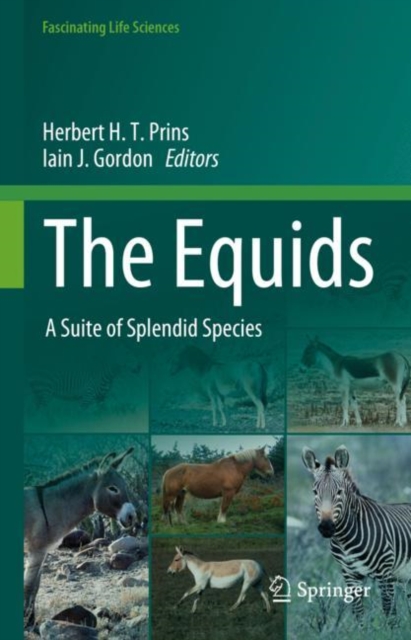 Equids