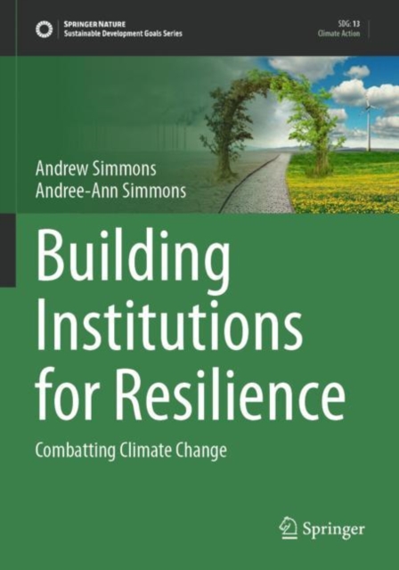 Building Institutions for Resilience