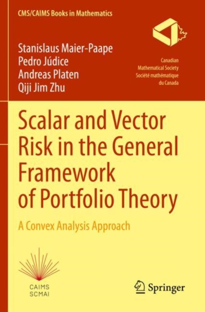 Scalar and Vector Risk in the General Framework of Portfolio Theory