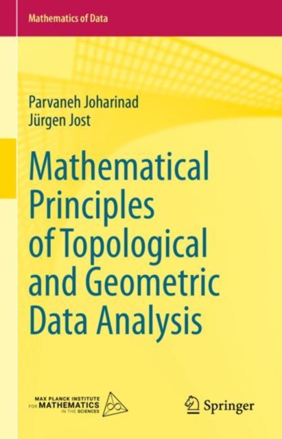 Mathematical Principles of Topological and Geometric Data Analysis