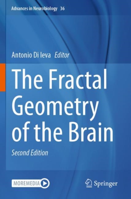 The Fractal Geometry of the Brain