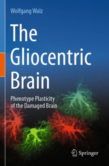 The Gliocentric Brain