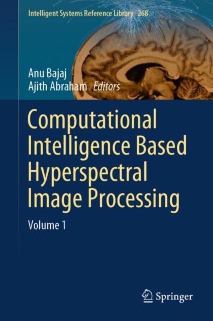 Computational Intelligence based Hyperspectral Image Processing