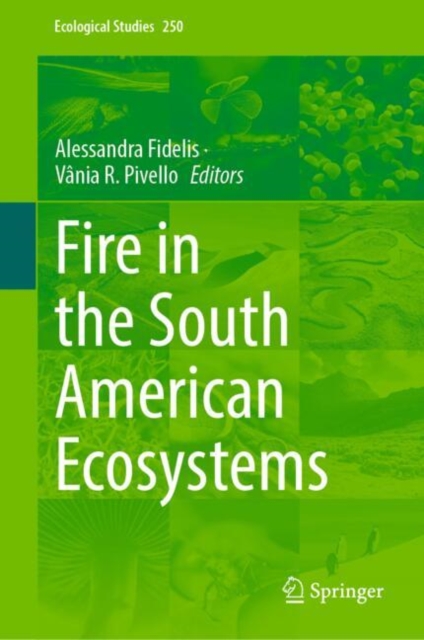 Fire in the South American Ecosystems