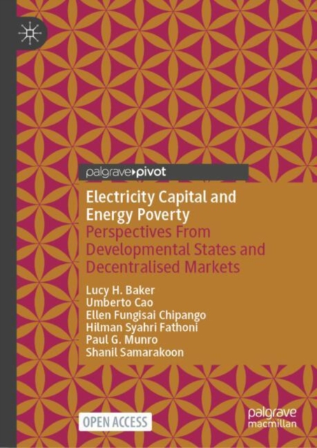 Electricity Capital and Energy Poverty