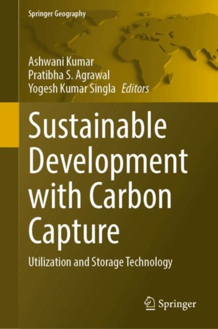 Sustainable Development with Carbon Capture