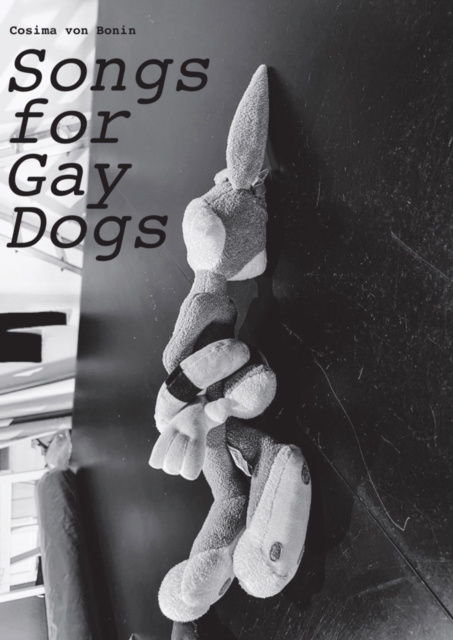 Cosima von Bonin: Songs for Gay Dogs