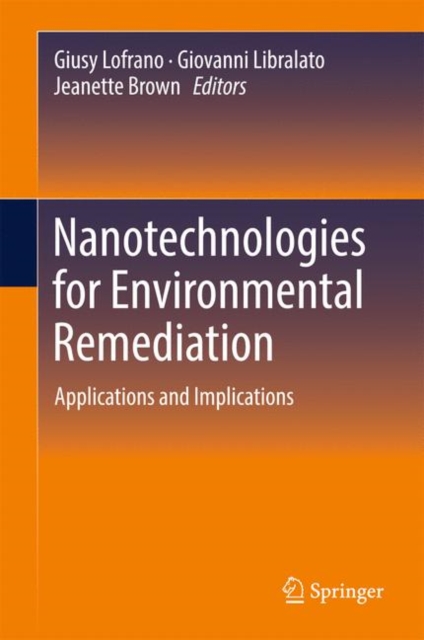 Nanotechnologies for Environmental Remediation