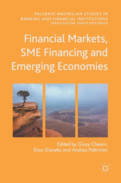 Financial Markets, SME Financing and Emerging Economies