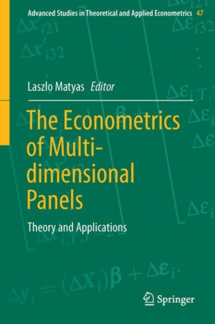 Econometrics of Multi-dimensional Panels