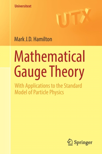 Mathematical Gauge Theory