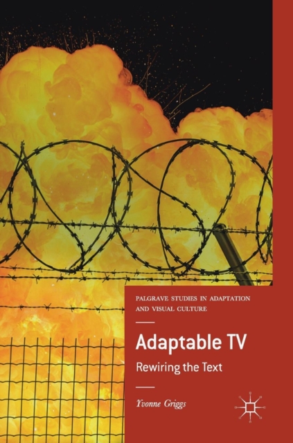 Adaptable TV