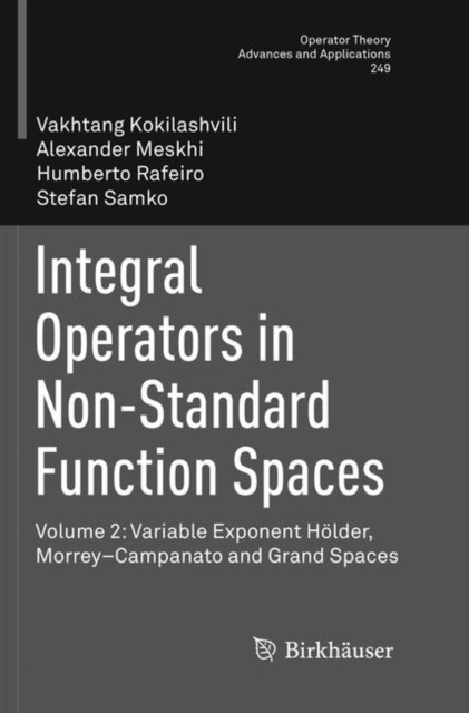Integral Operators in Non-Standard Function Spaces