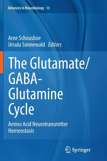 Glutamate/GABA-Glutamine Cycle