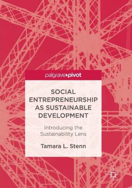 Social Entrepreneurship as Sustainable Development