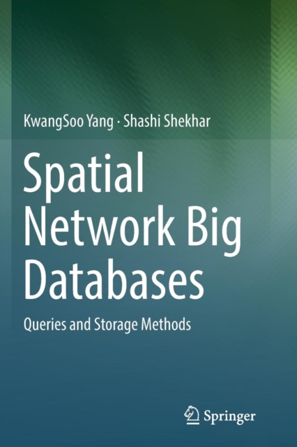Spatial Network Big Databases