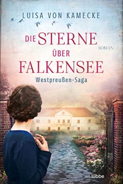 Die Sterne uber Falkensee
