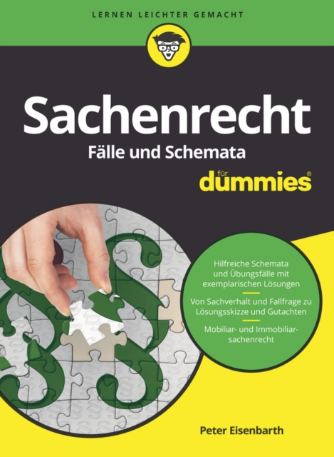 Sachenrecht Falle und Schemata fur Dummies