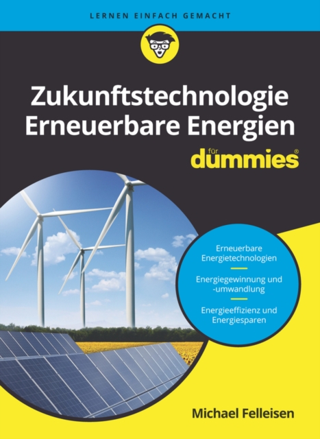 Zukunftstechnologie Erneuerbare Energien fur Dummies